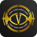 vtoken数字钱包安全便捷新选择