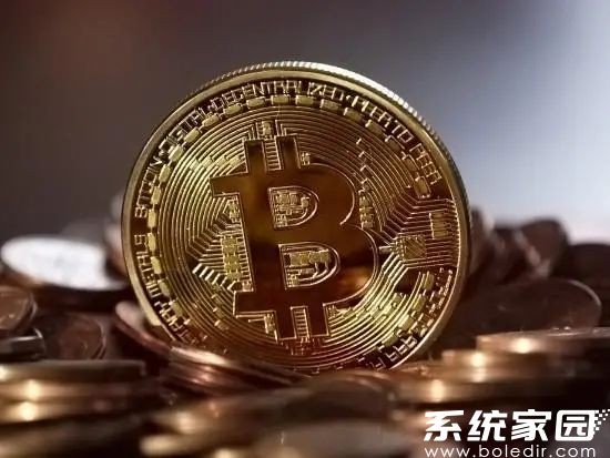 XRP瑞波币交易平台