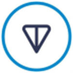 Toncoin币应用免费获取与资产管理