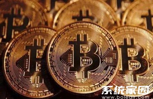 ROSE币交易所