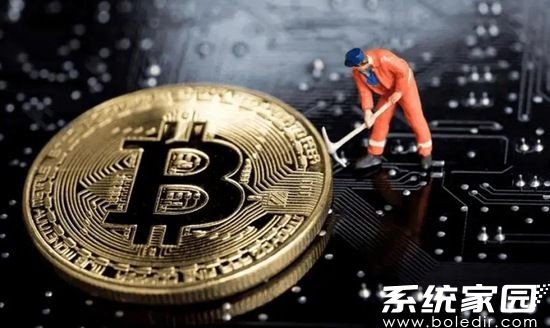 Kas币价值增长趋势分析