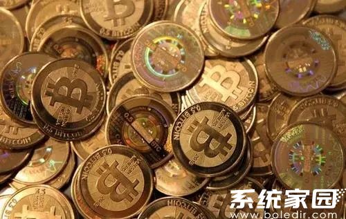 GoPay支付平台提现操作界面示意图