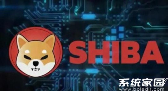 虚拟货币交易政策调整分析
