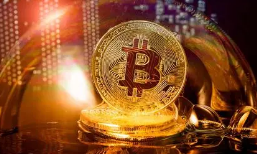 TP钱包运行异常处理指南