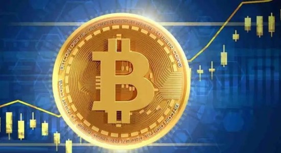 比特币价格波动与市场趋势分析