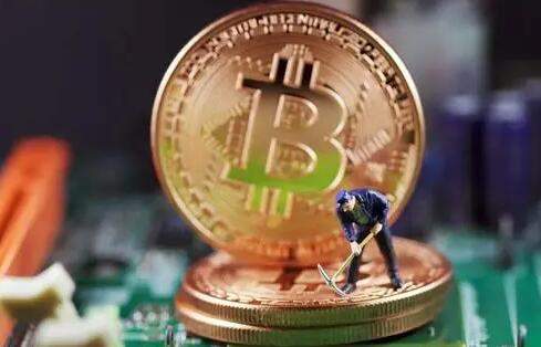 2025年维卡币市场动向与风险预警