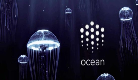 OCEAN币发行总量与流通机制解析