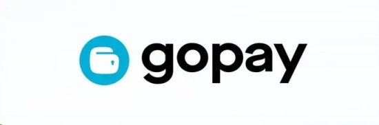 Gopay钱包操作指南与核心功能