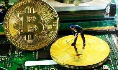IFC币技术架构与市场表现