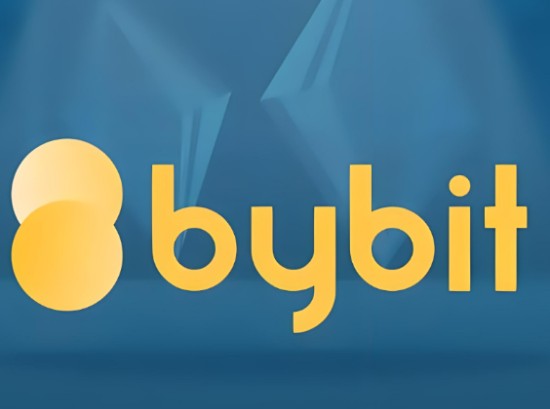 Bybit交易所KYC认证操作指南