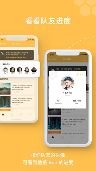 BeeNetwork数据分析