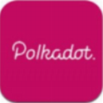 Polkadot交易所2024移动端安全特性详解