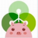 cgpay手机钱包实时行情与安全交易