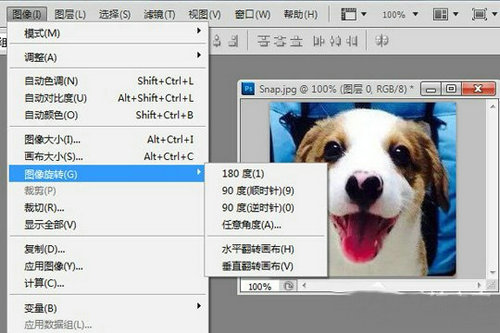 PS图片旋转详细操作步骤图文教程