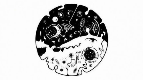 ovivou65e0u9650u91d1u5e01u7248