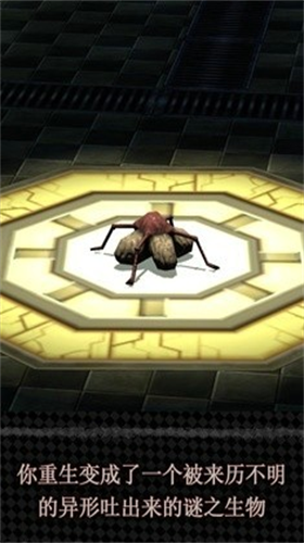 u8f6cu751fu6210u4e3au5f02u5f62