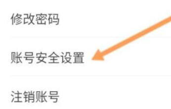 安全设置界面示意图