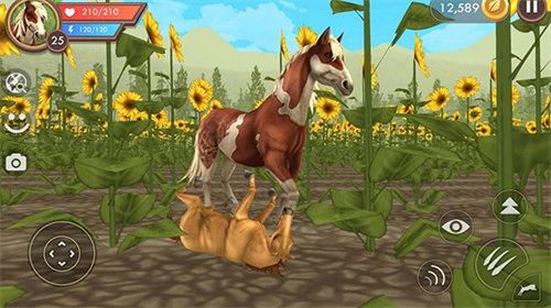 3Du52a8u7269u6a21u62dfu5668u65e0u9650u91d1u5e01u94bbu77f3u7248