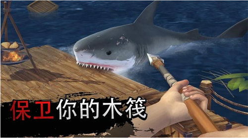 u7b4fu5b50u4e0au7684u751fu5b58