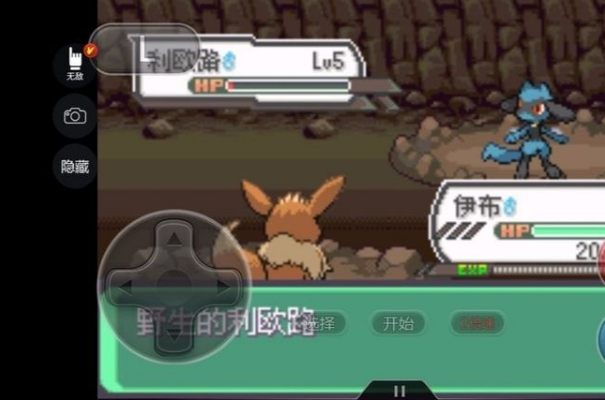 隧道入口实景图