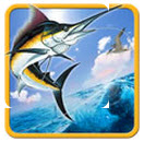 全民钓鱼畅玩解锁全资源v8.7.5 免费版