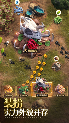 u5c0fu8681u5e1du56fdu5185u7f6eu4feeu6539u5668