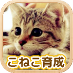 3D猫咪虚拟领养中文版
