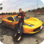 在线驾驶汽车内置菜单免费畅玩v1.1 汉化版