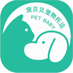 宠贝贝宠物托运安心之选
