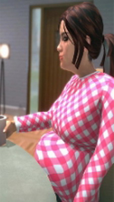 u6000u5b55u5988u5988u6a21u62dfu5668u5185u8d2du7248