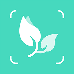 智能拍照识物工具实测百科精准识别v1.3 最新版