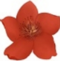 小红花直播音效助手功能详解与用户反馈