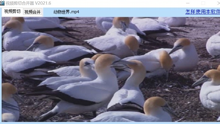 视频处理界面示意图