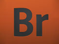 Adobe Bridge CS5