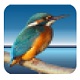 Highlight多格式高亮工具免费下载v11.9.0