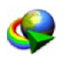 IDM高速下载工具绿色版v6.30.7